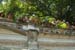 IVA_3474
